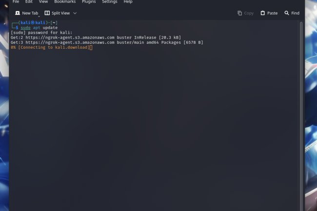 Tutorial Cara Update dan Upgrade KALI LINUX Secara Aman