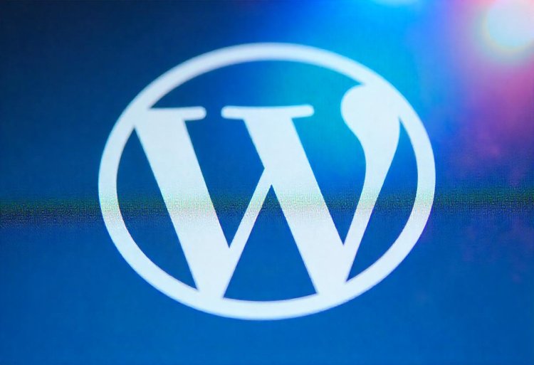 Simak Caranya! Cara Tambal Bug di WordPress Agar Tidak Diserang Hacker